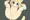 むくけもっこ