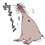 三輪瞳