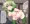リアナ　オークの里へ