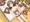 こまぐるみ達とほたるん