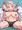 【グロ注意】達磨ランジュ