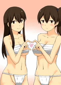 赤城と加賀