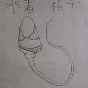水着精子