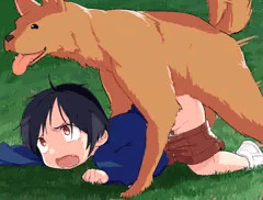 犬と