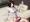 宣伝