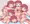 コロンちゃんだらけ