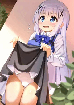 たくし上げチノちゃん
