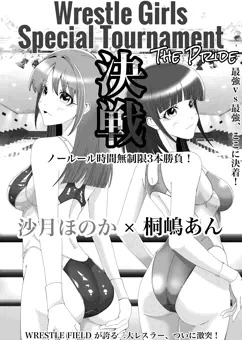 キャットファイトのDVD