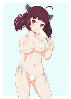 ｺｯｼｮﾘきりたん２