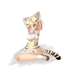 スナネコ