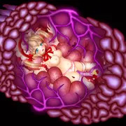 未知の生物に丸呑みされた女の末路