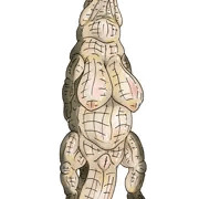 wani hentai