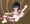 しょくしゅー