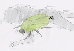 逆虫姦があってもいいじゃない