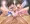 藤原姉妹