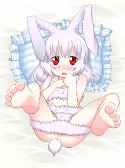 我が家の発情うさぎちゃん