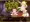 【エロRPG】戦闘エロ。仲間の拘束!!