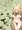露出ひめ