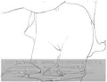 ロリっ子のレイプは犯罪です