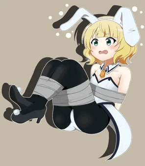 ダクトテープバニー in シャロ