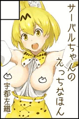 4/9ジャパリケット 5/5フレンズチホー