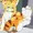 うごくミアちゃん🐯👣