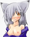 銀狐っぱい