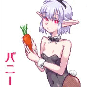 バニーの日