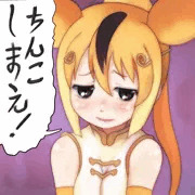 ちんこしまえ(キンシコウ)