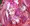 魔法少女