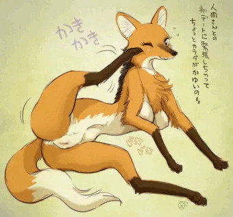 タテガミオオカミ（？）のジュンちゃん
