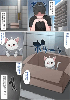 捨て猫を拾ったら。