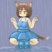雨猫