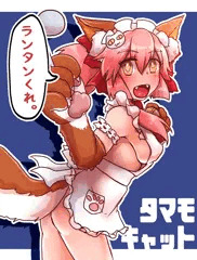 ランタンきませんタマモキャット