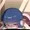 フィズ(アニメ)