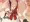 skebラスト