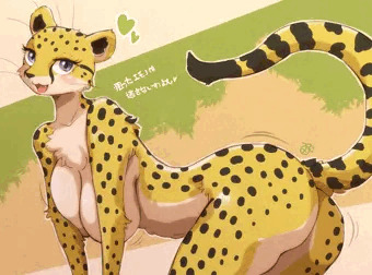 チーターのクイーンちゃん