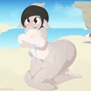 Shark'chelle bikini