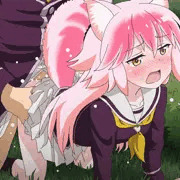 犬のしつけ