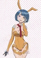 シイコさんバニー