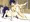 黒猫といちゃいちゃ
