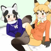たぬきた