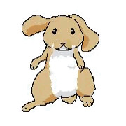 うさぎさん