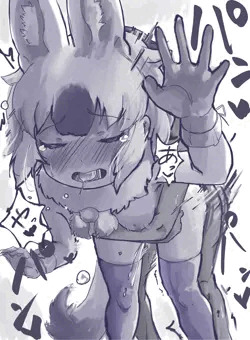 ド