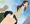 風の戯れ
