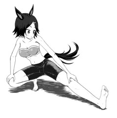 練習：ウイニングチケット