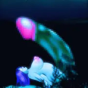 サンプル画像