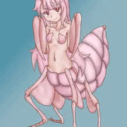 ハナカマキリの成虫と幼虫の中間の子も可愛い！
