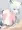 ふぅん…こういうのが好きなんだぁ