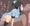 佐々木梓キスハメ